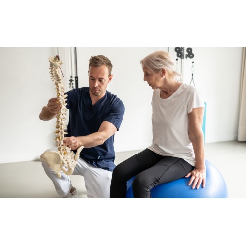 Seminario: Tratto lombare e bacino, Milano